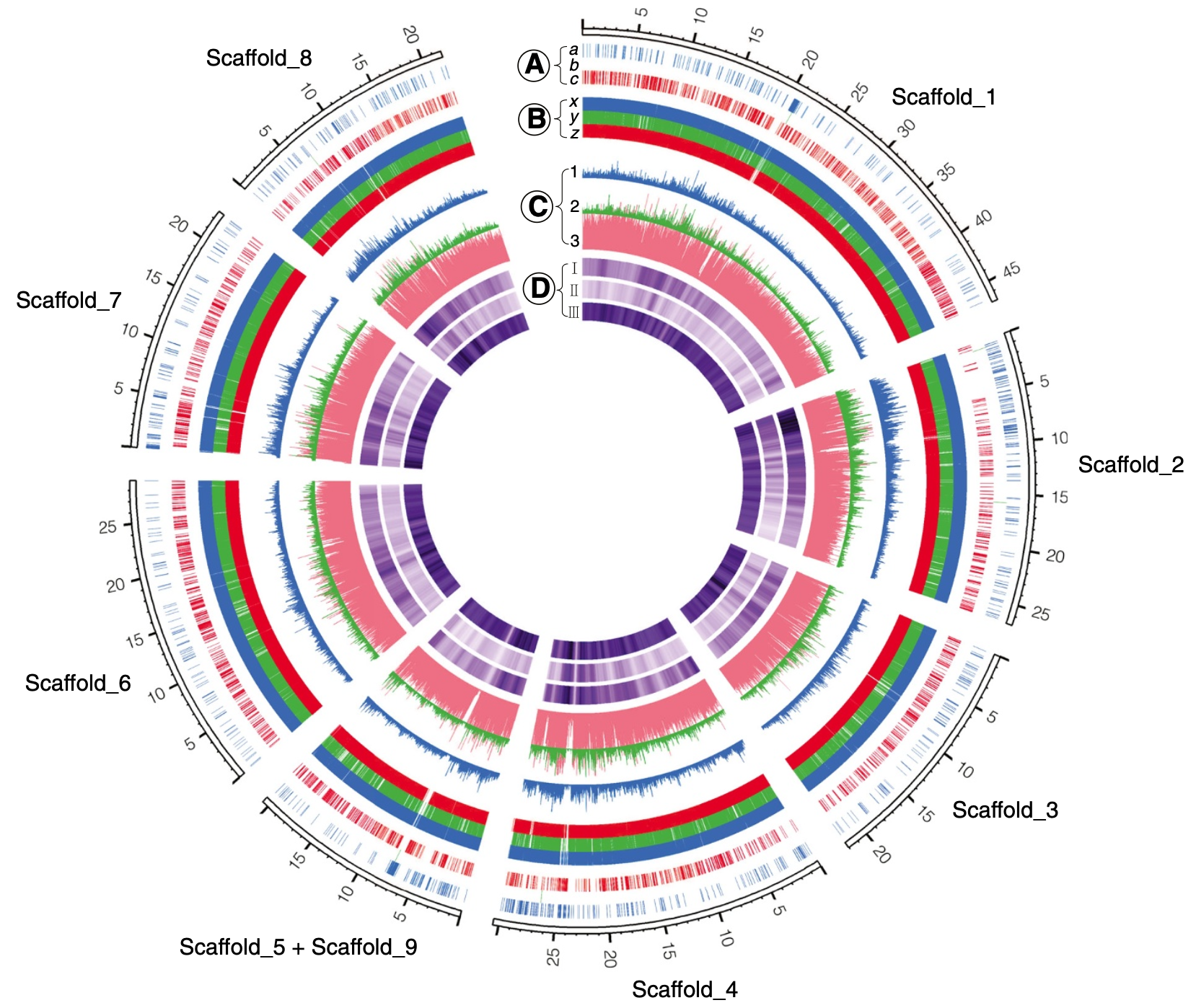 Comparative Population Genomics Reveals the Domestication History of Peach