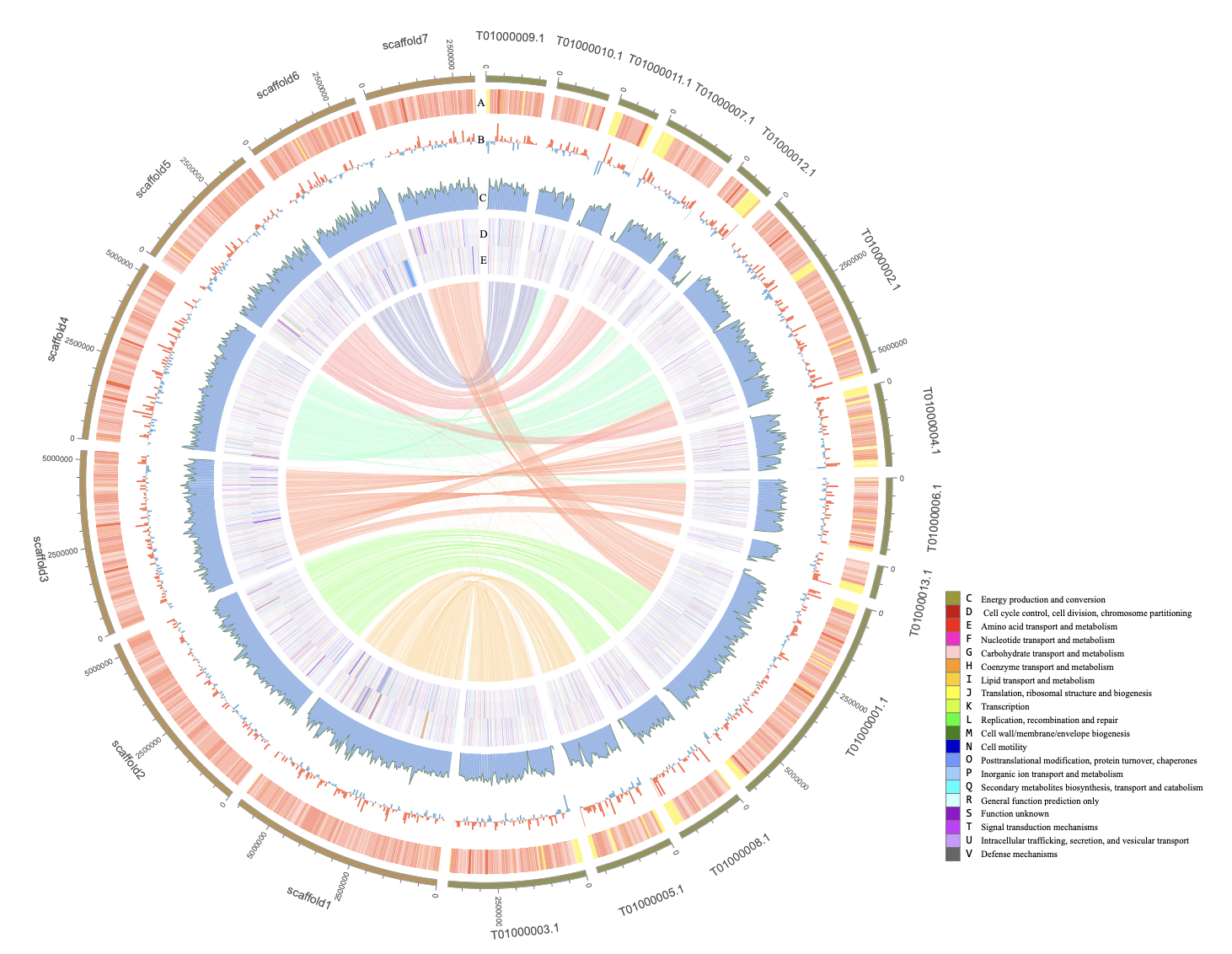 Chromosome-Level Genome Assembly of Mangrove Fungus Penicillium variabile HXQ-H-1
