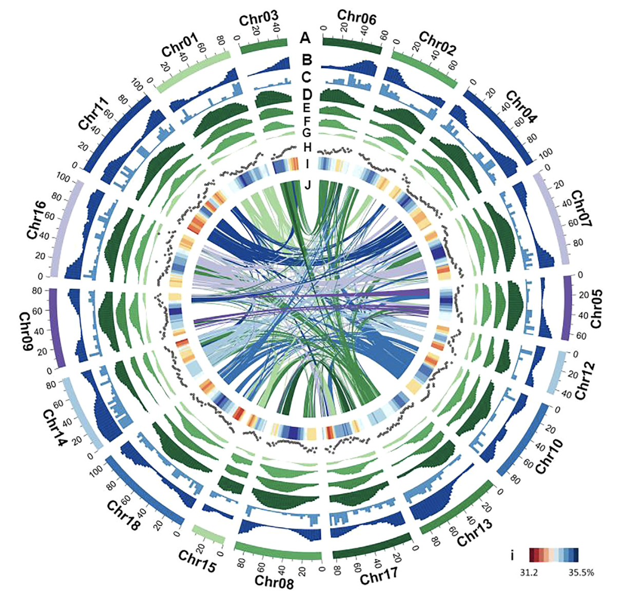 Chromosome-Based Rubber Tree Genome Provides Insights into Evolution and Rubber Biosynthesis