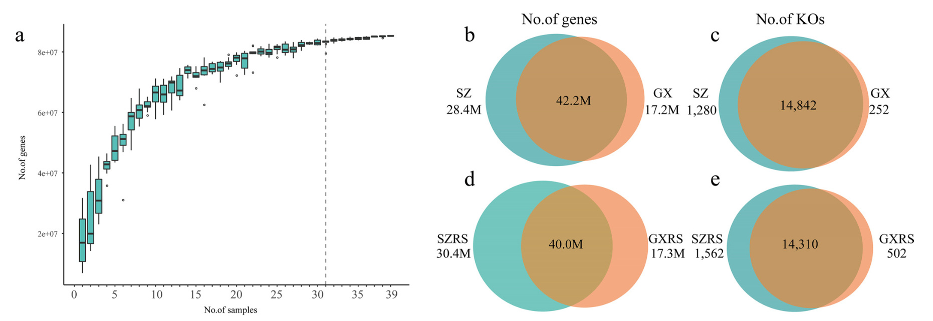 Deciphering the Microbial Taxonomy and Functionality of Mangrove Ecosystems