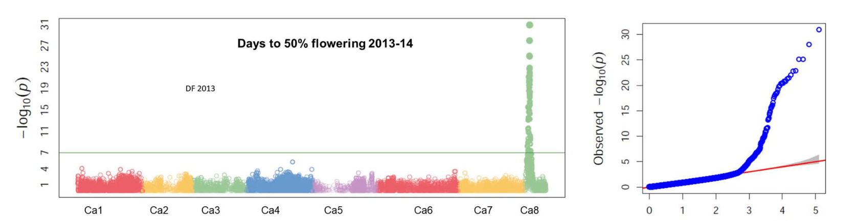 Mapping Drought Tolerance in Chickpea: Insights from Whole Genome Resequencing of a MAGIC Population